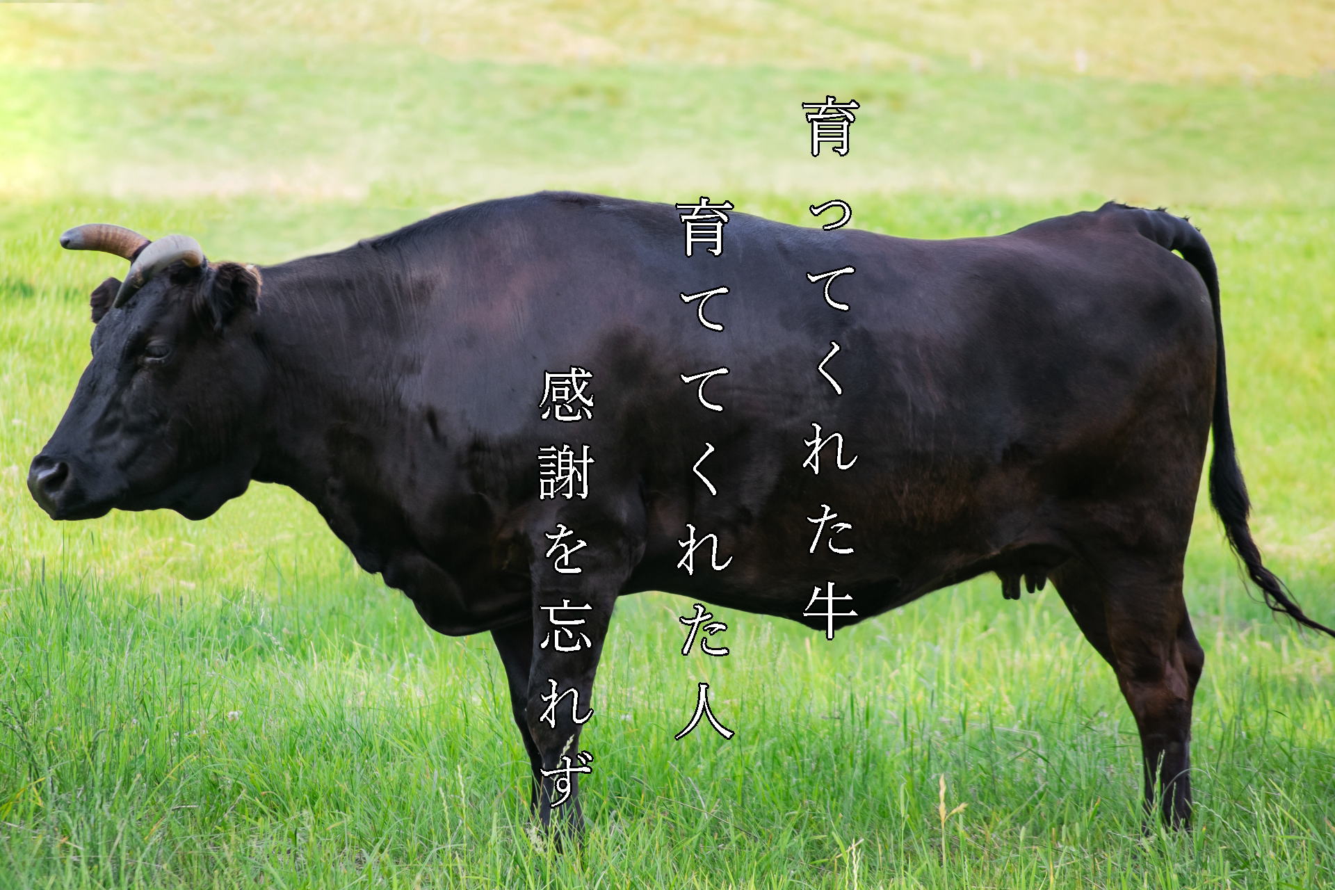 牛 幸 本店